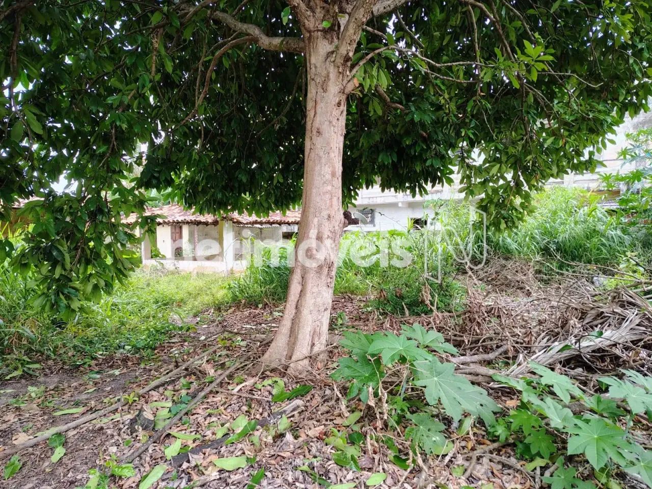 Terreno à venda, com algumas edificações, no centro de Monte Gordo, Camaçari  BA. - Foto 3