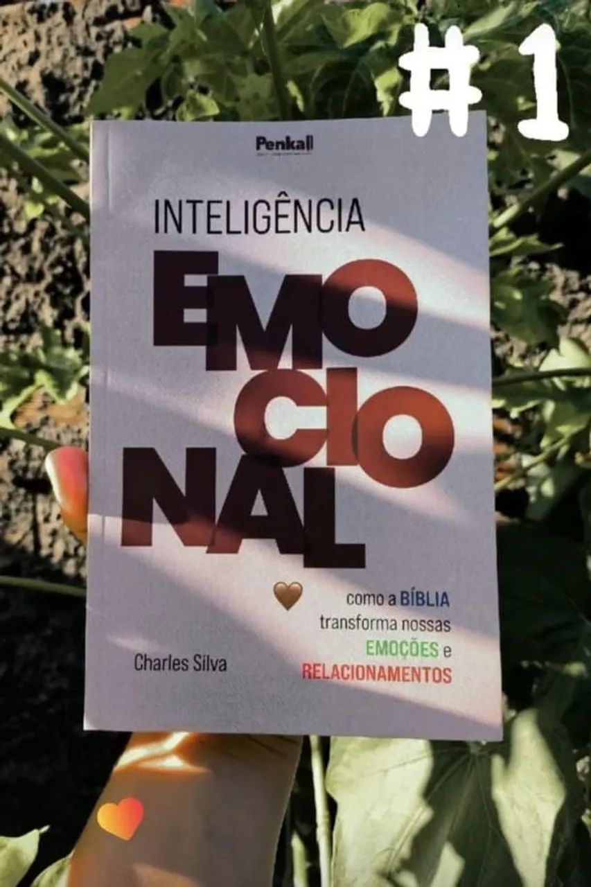 Livros R$10,00 cada - Foto 4
