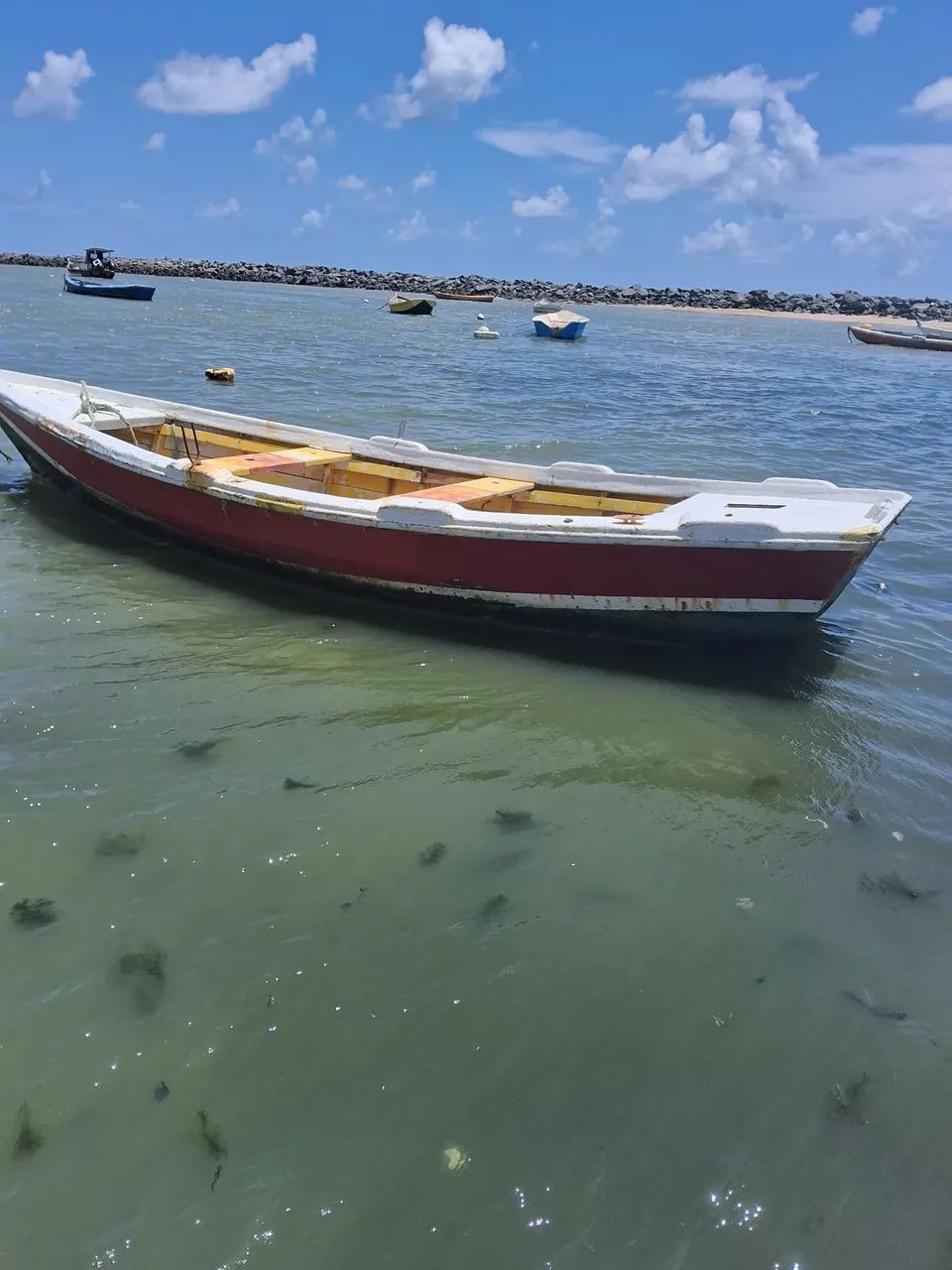 Baitera Nova - Foto 4