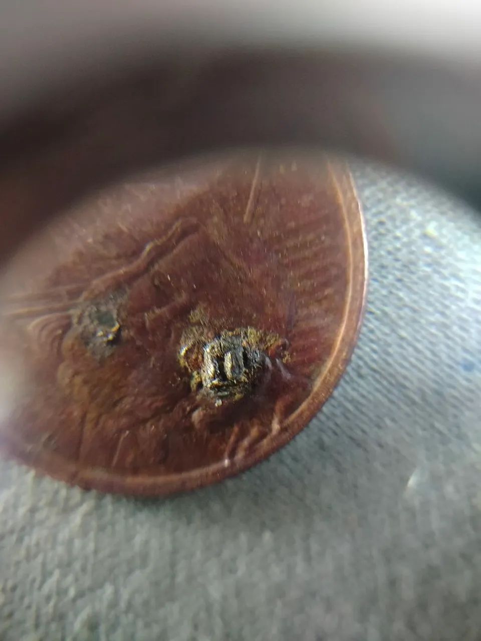 Moedas antigas  - Foto 3