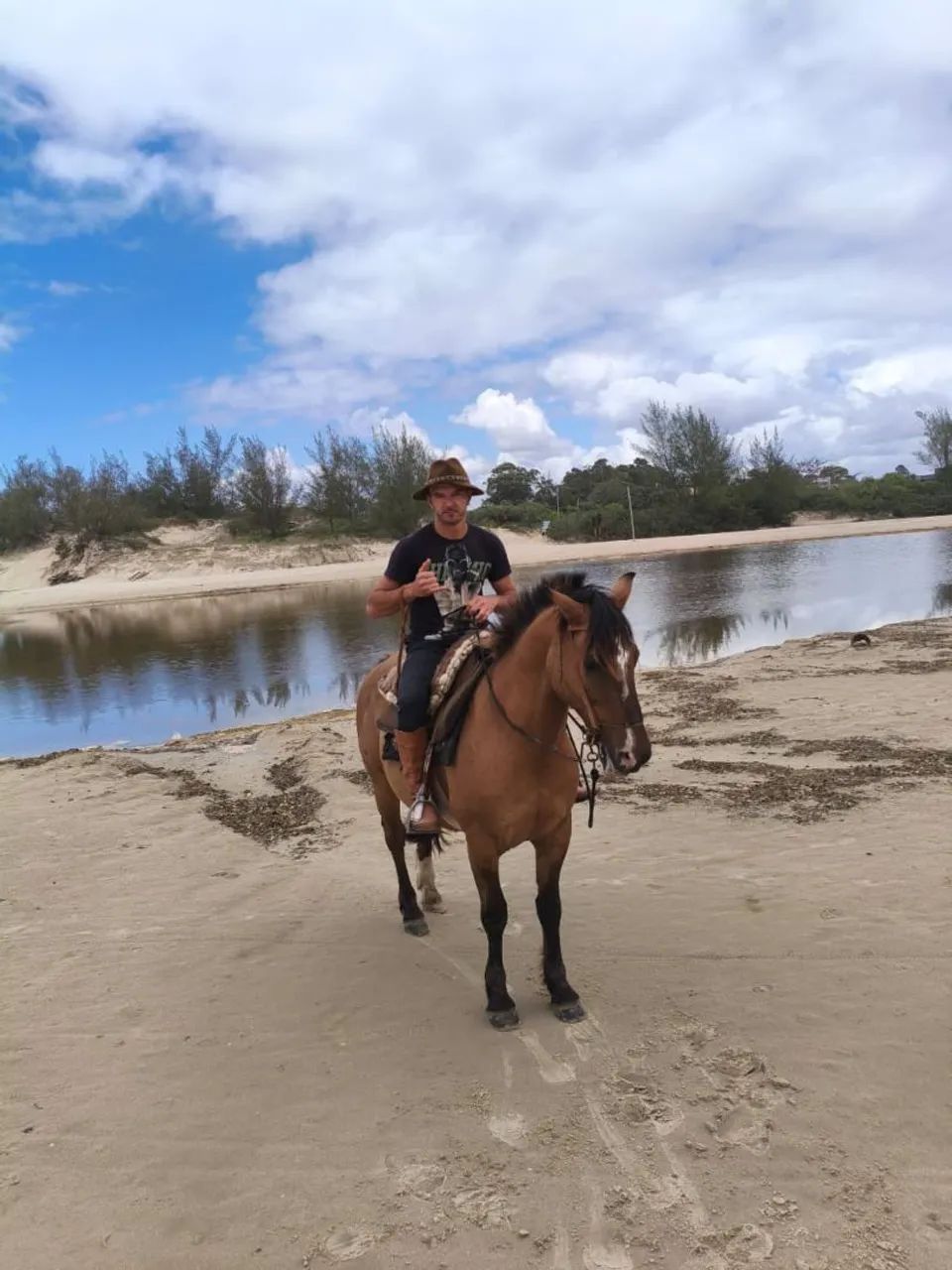 Vendo cavalo Crioulo  - Foto 2