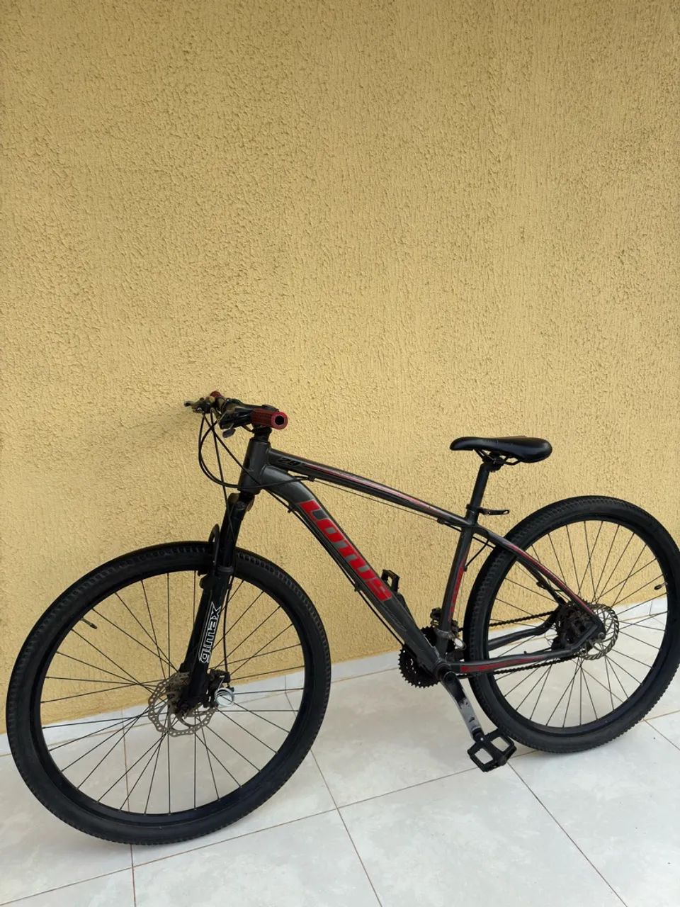 Bicicleta Lotus aro 29 
