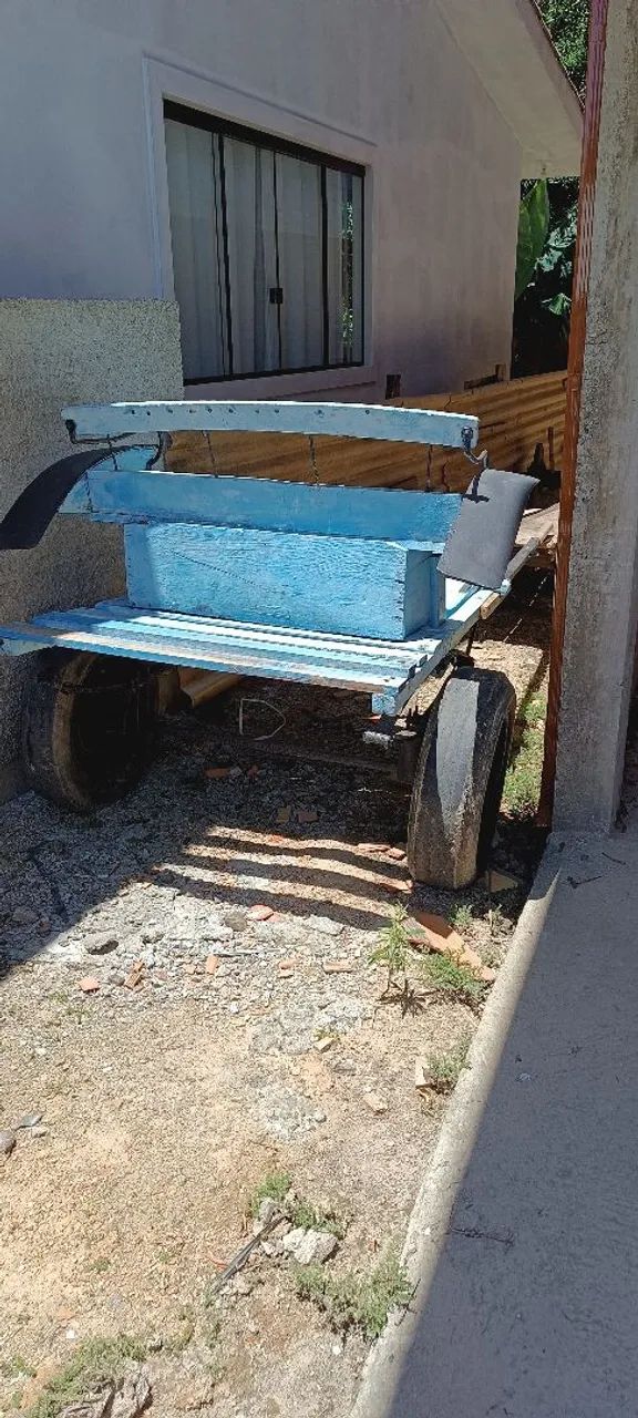 Vendo charrete, carro de boi e carretão 