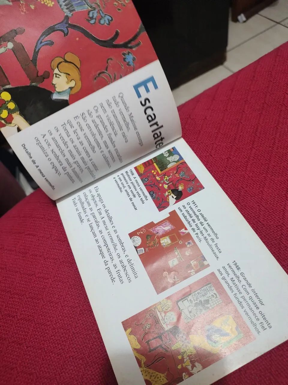 Livro M de Matisse - Foto 2