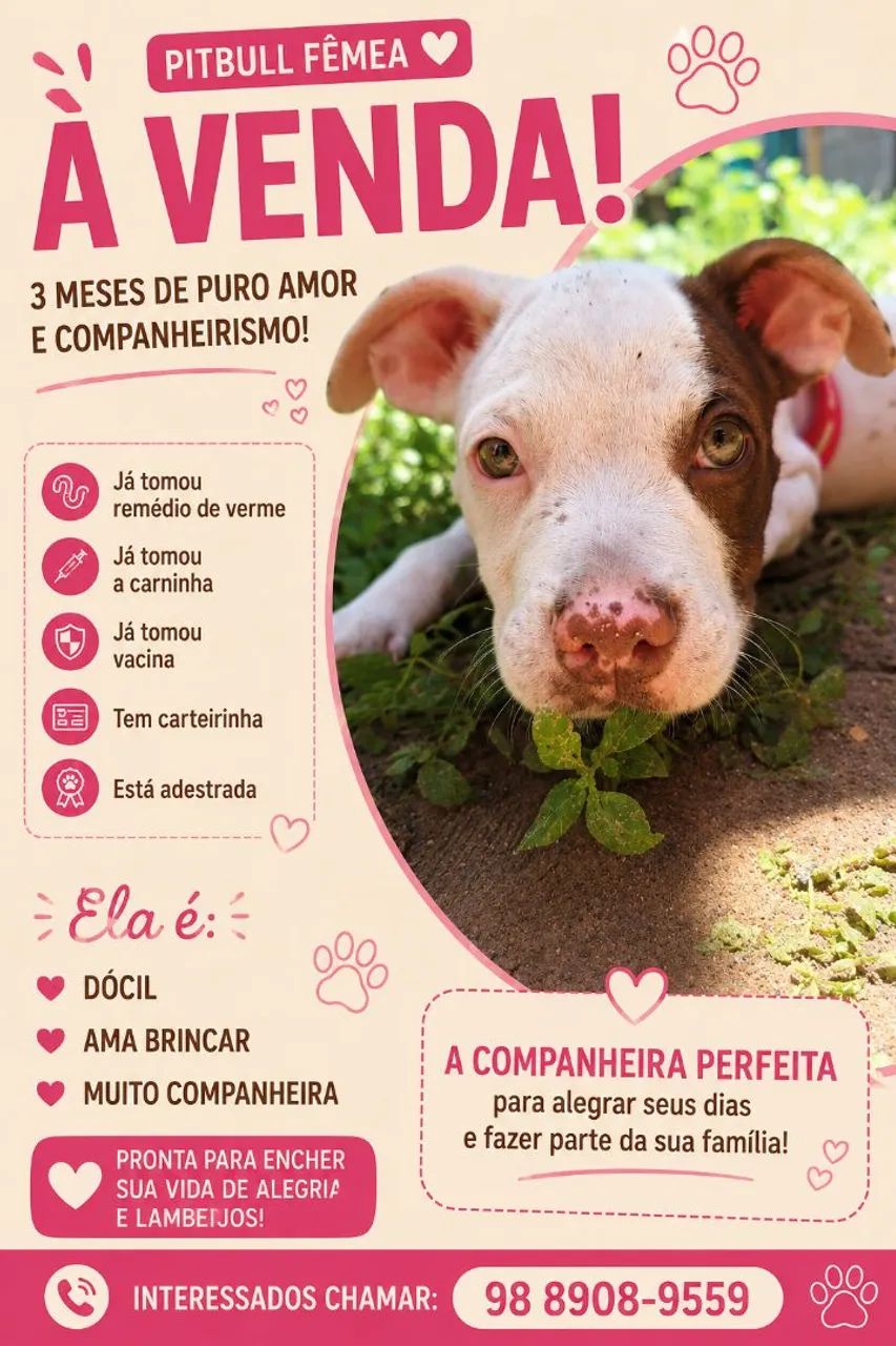 Filhote de Pitbull 