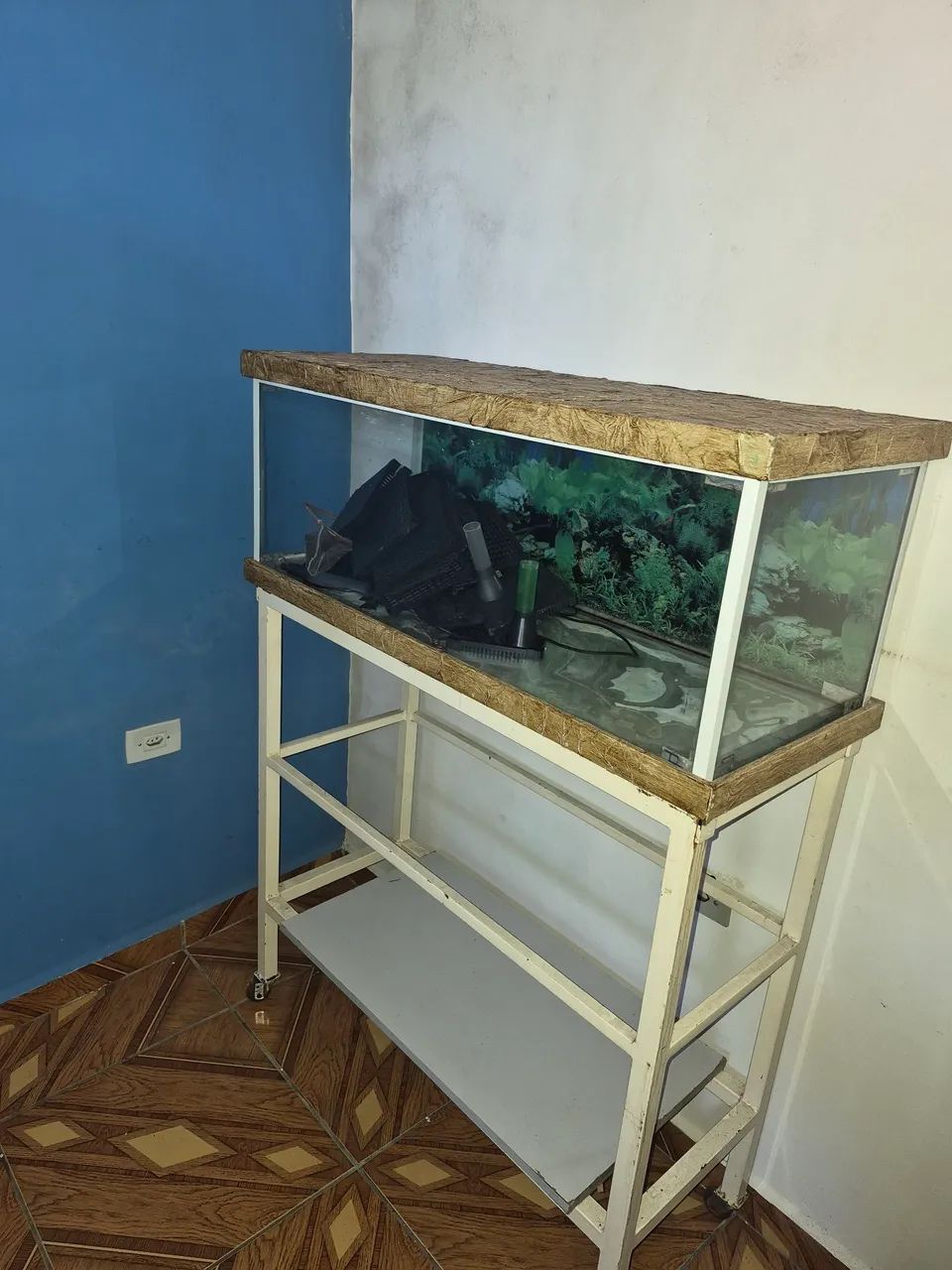 Aquário  - Foto 4
