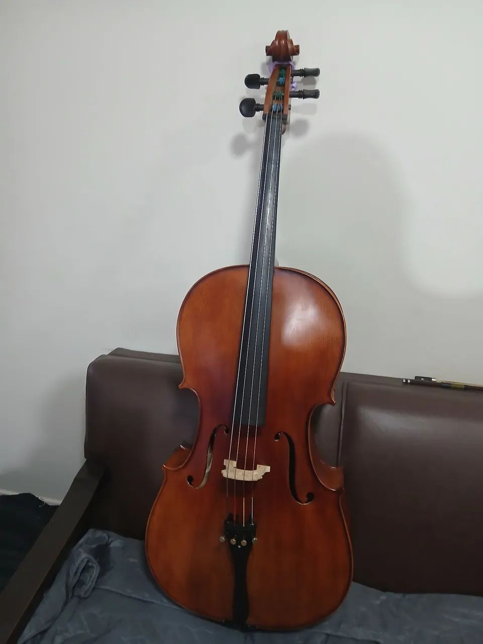 Violoncelo 4/4 Eagle 