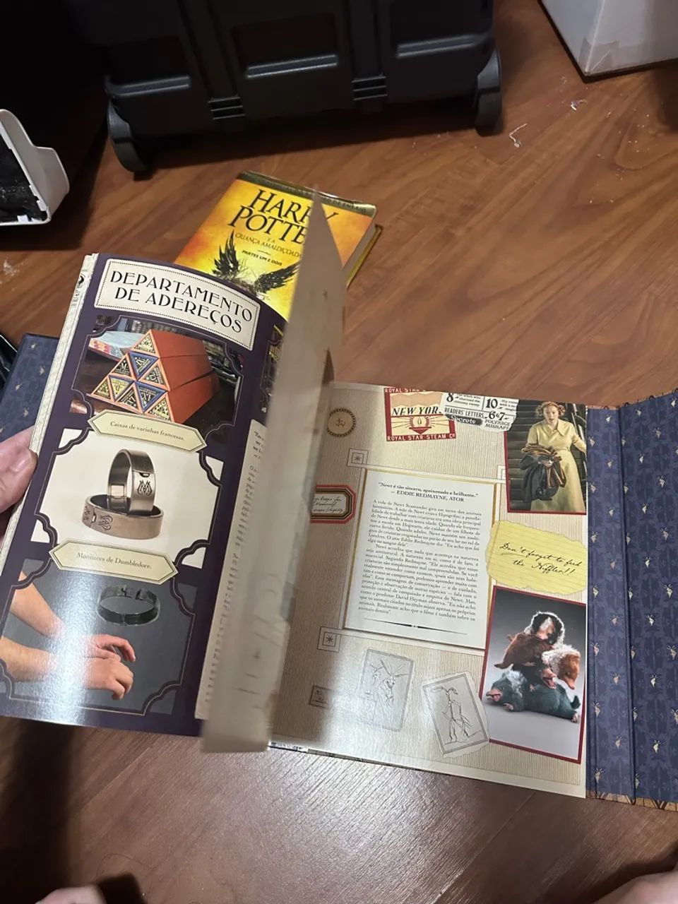 Os Arquivos da Magia - Crimes de Grindelwald - Livros e revistas