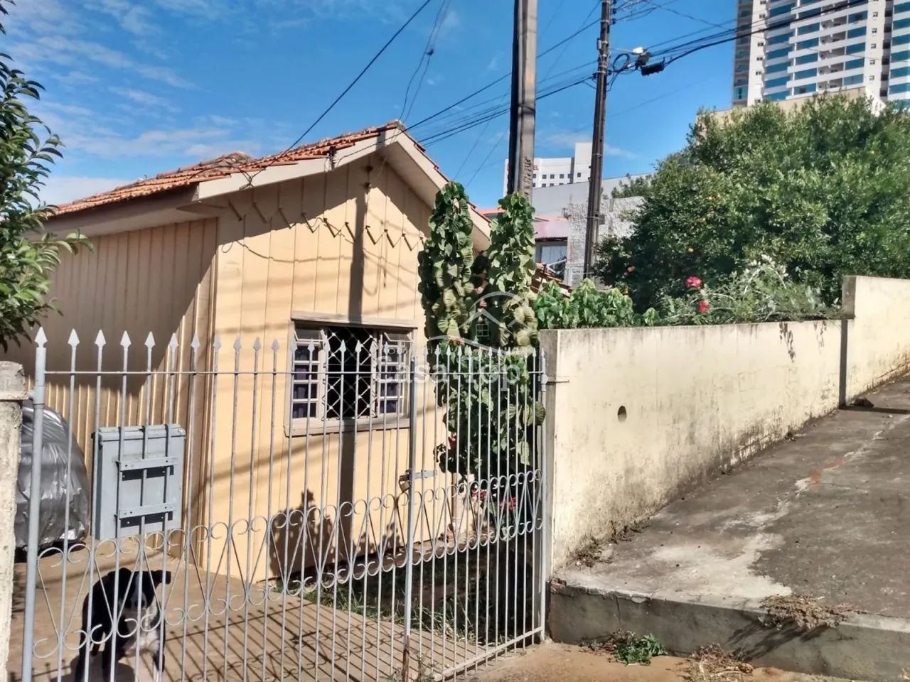 Terreno à venda Olarias - Foto 2