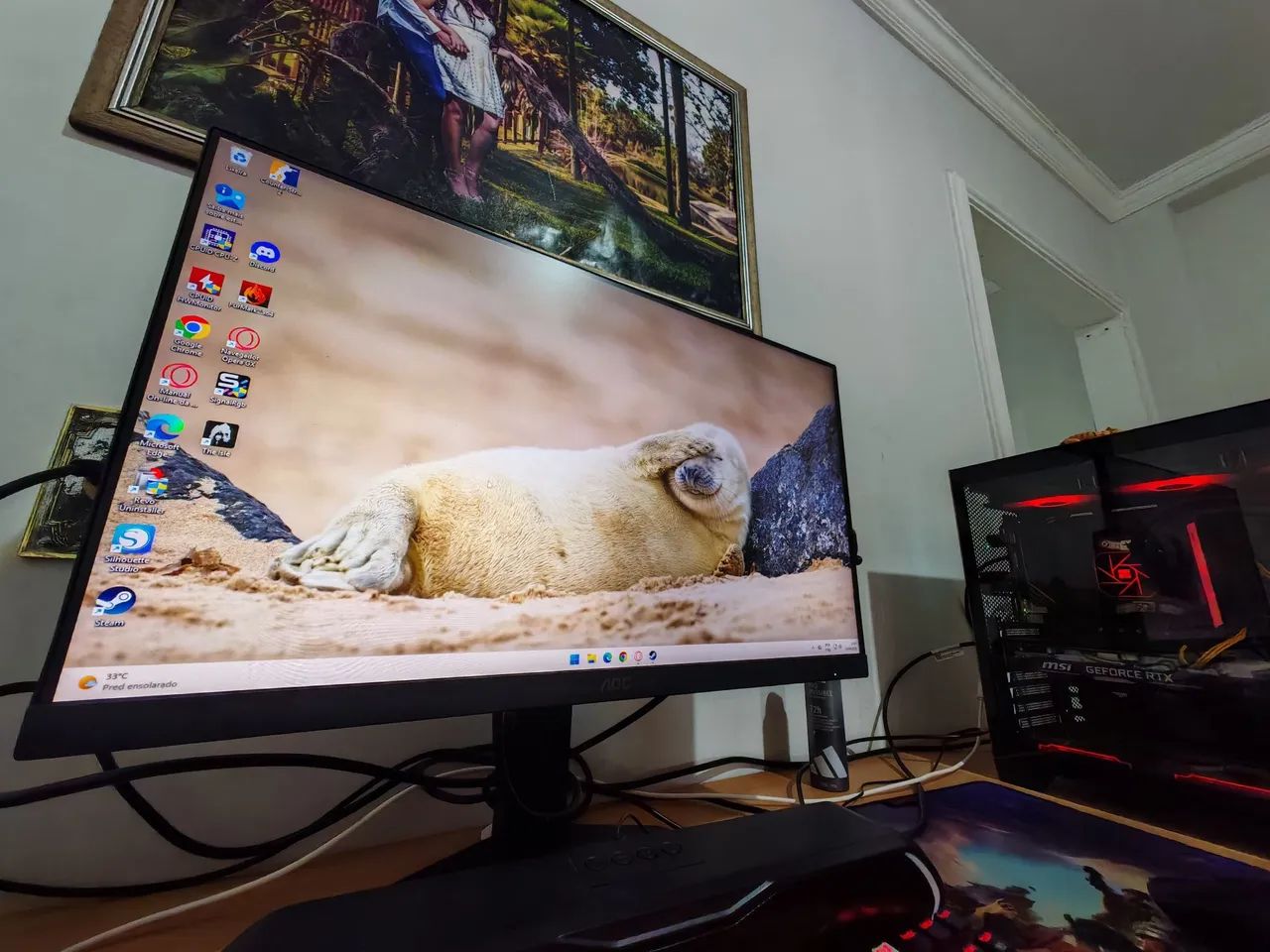 Monitor aoc 24