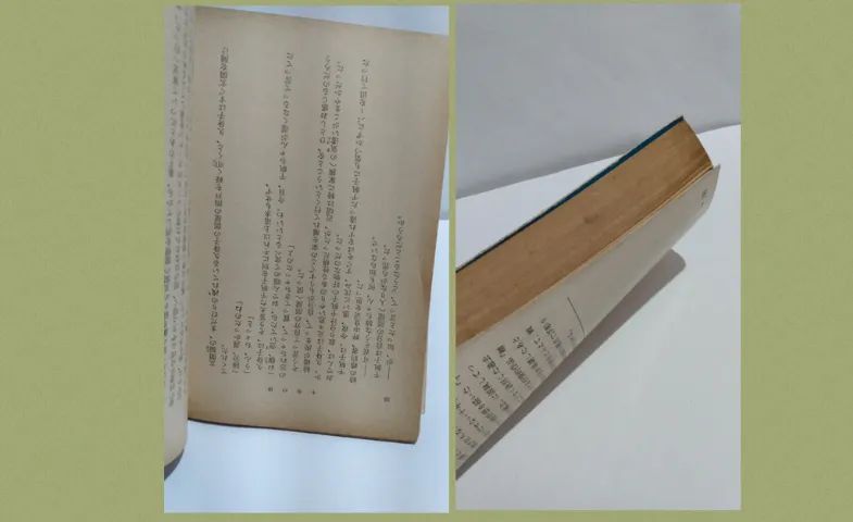 Livro usado japonês Okuru Kotoba Shibata Sho Palavras para dar de presente idioma japonês - Foto 5