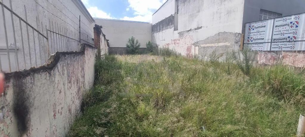 Terreno à venda e para alugar em Campinas, Botafogo, com 237 m² - Foto 2
