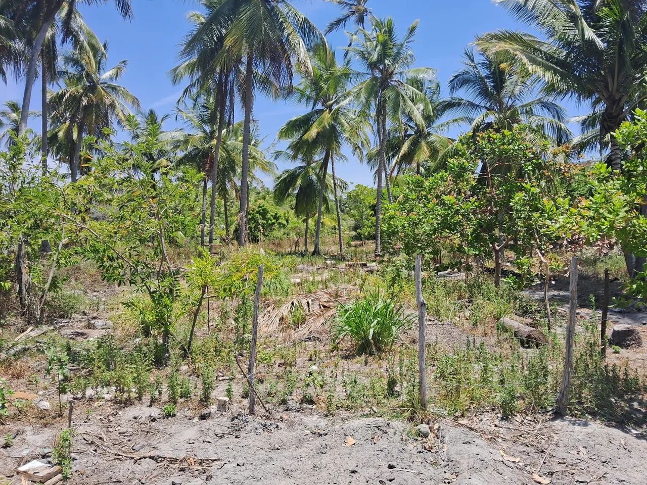 Terreno Vende se ou troca  - Foto 2