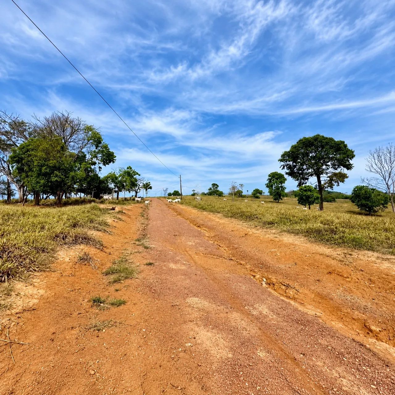 IMOBILIÁRIA LIBRA IMÓVEIS VENDE TERRA  - Foto 3