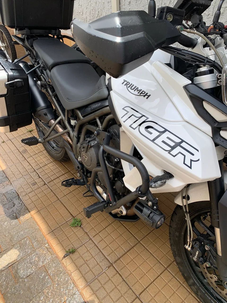 Tiger 800XRX LOW - Foto 2