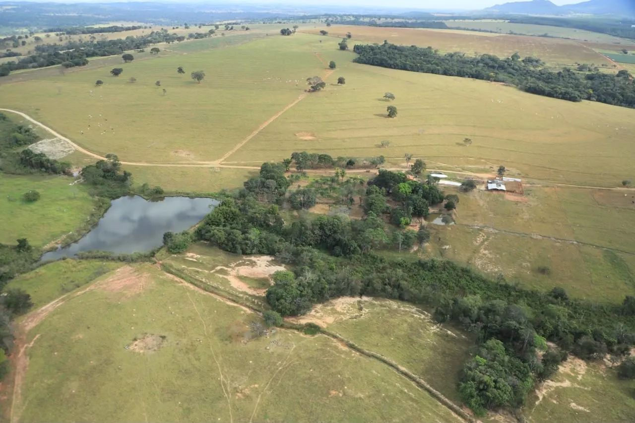 Fazenda de 21 alq em São Francisco-Go  - Foto 3