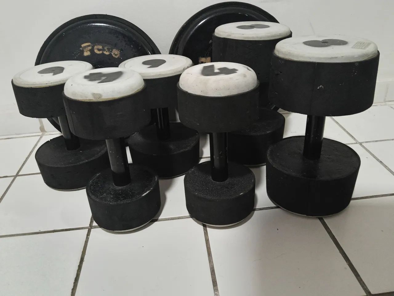 Halteres e anilhas com barra