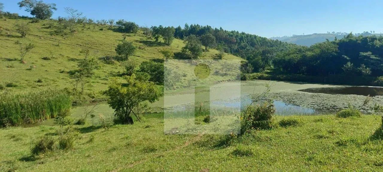 Sítio a venda em Morungaba/SP - Foto 5