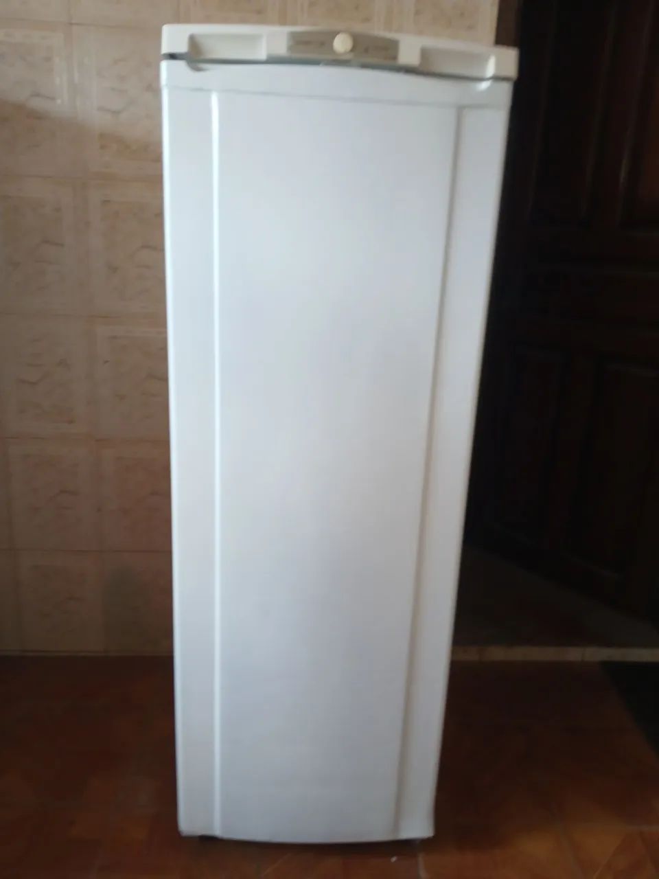 Geladeira Electrolux 