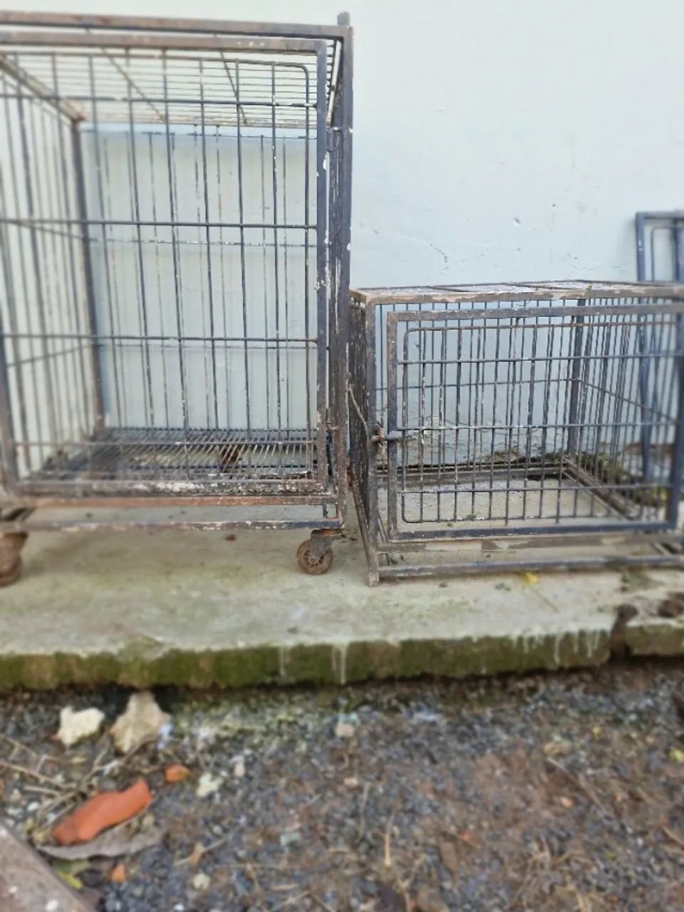 caixa gaiola transporte pet - Foto 4