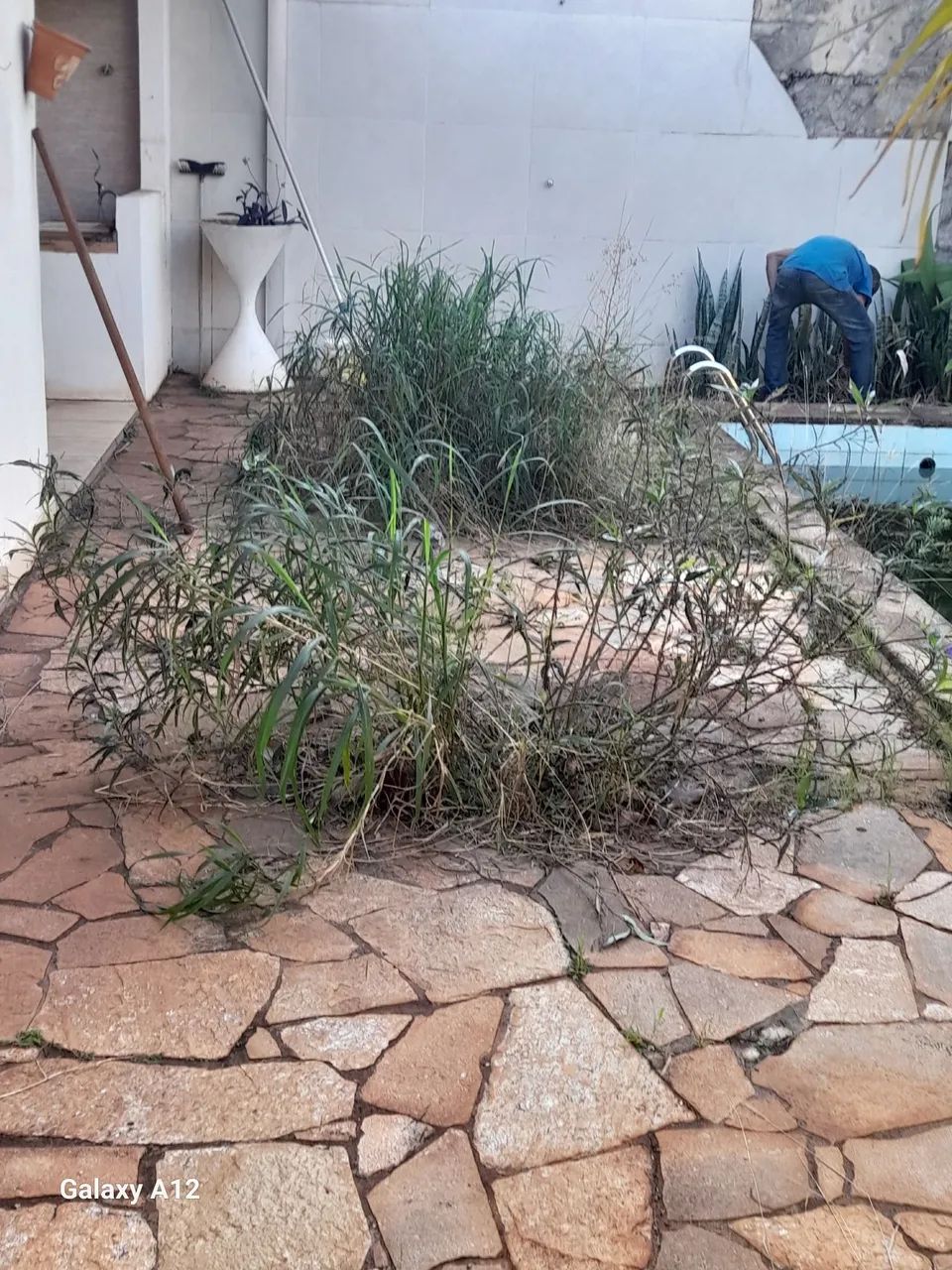 Jardinagens  - Foto 5