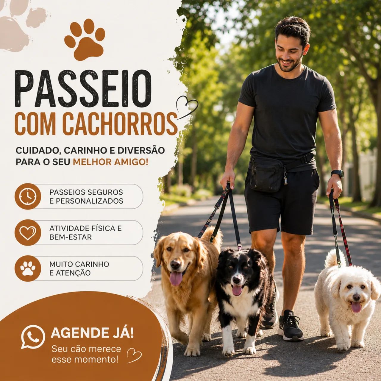 Passeio com seu cachorro (Stella Maris)