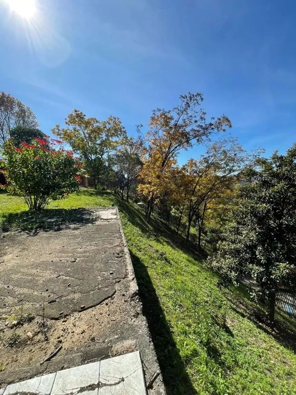 CAXIAS DO SUL - Terreno Padrão - LINHA 40 - Foto 15
