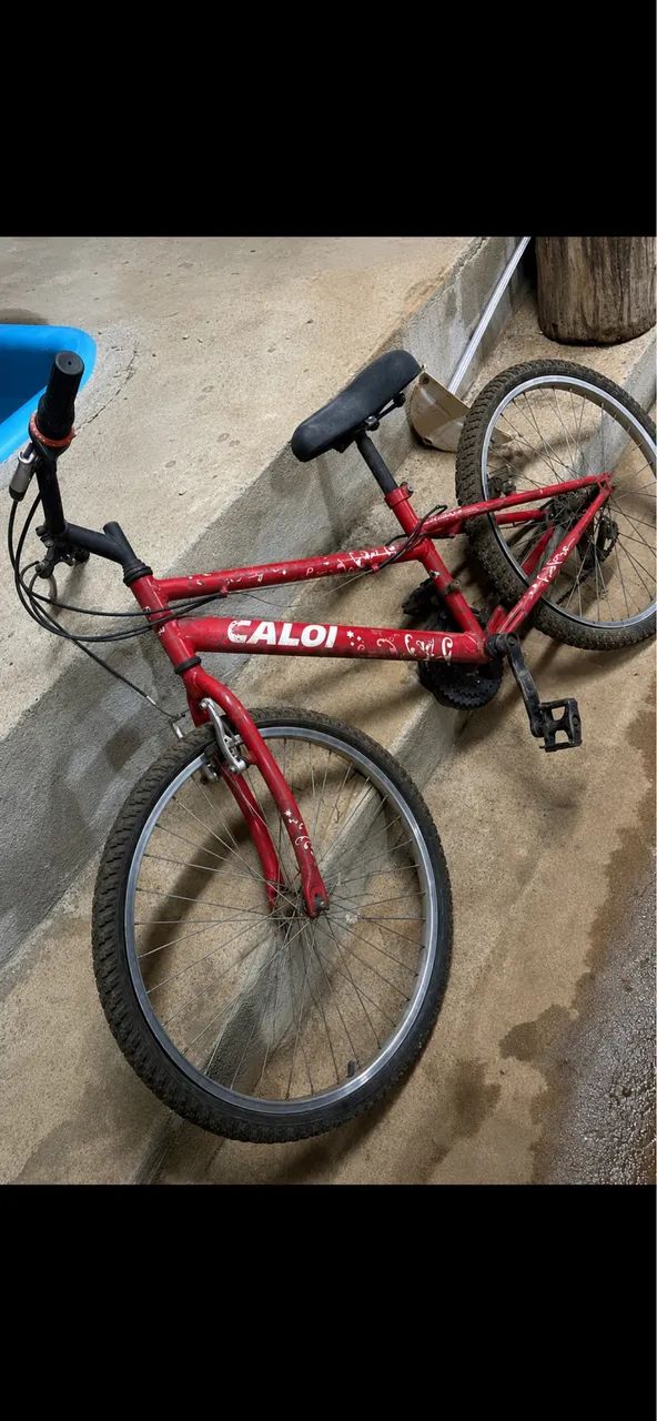 BICICLETA ARO 24