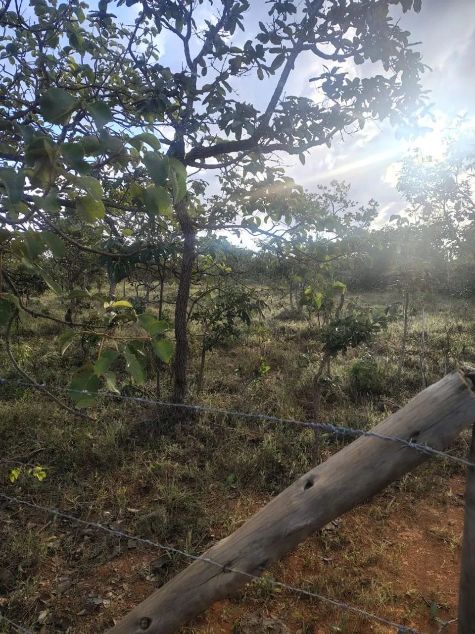 Lote perto Serra do Cipó - Curralinho  - Foto 4