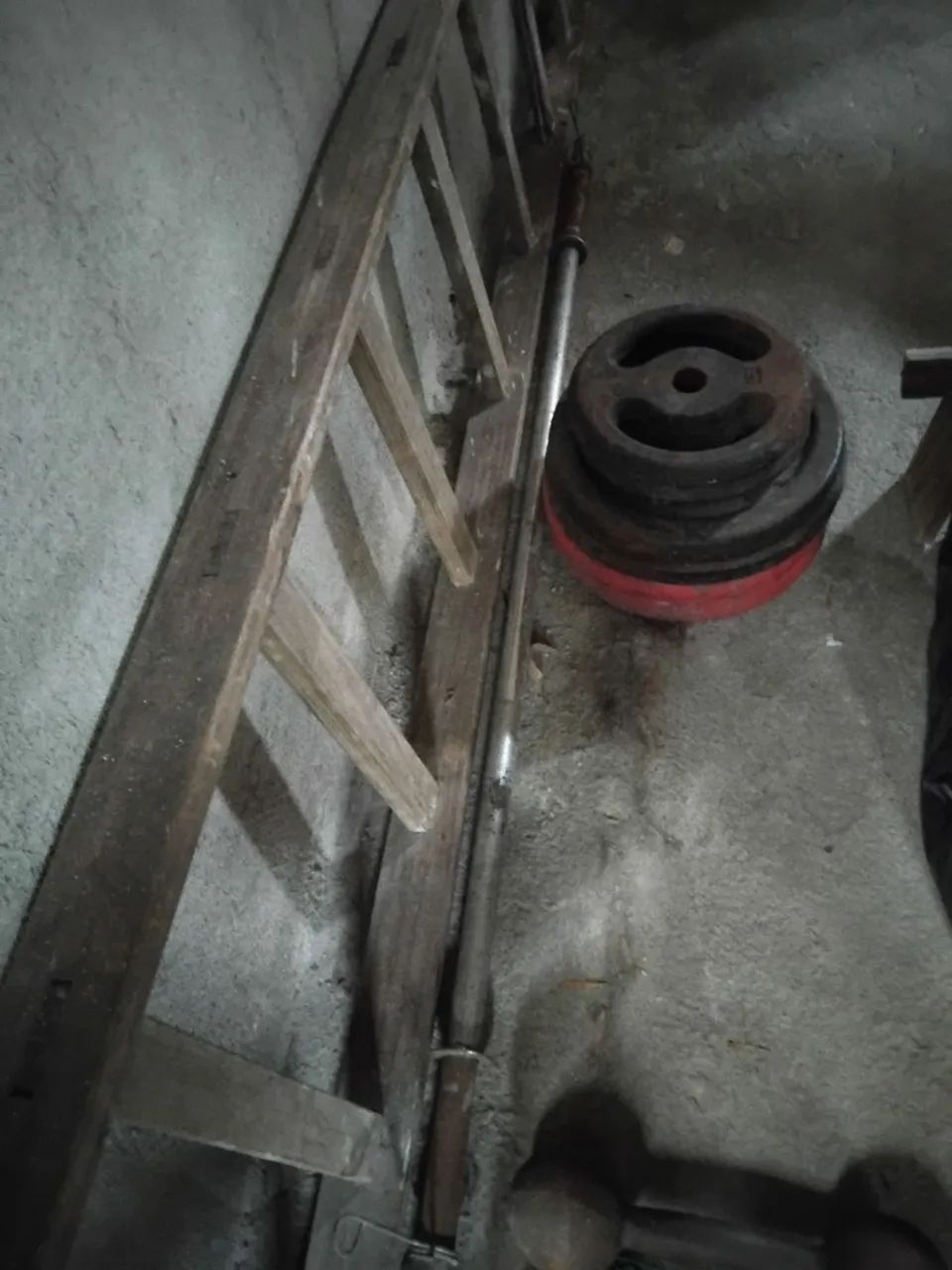 Anilha 20kg