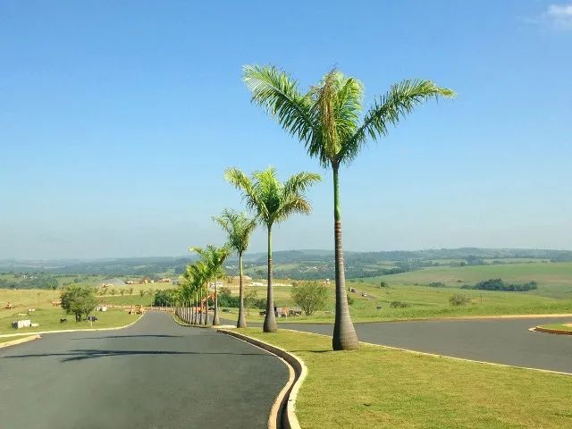 Foto - Salto De Pirapora - 