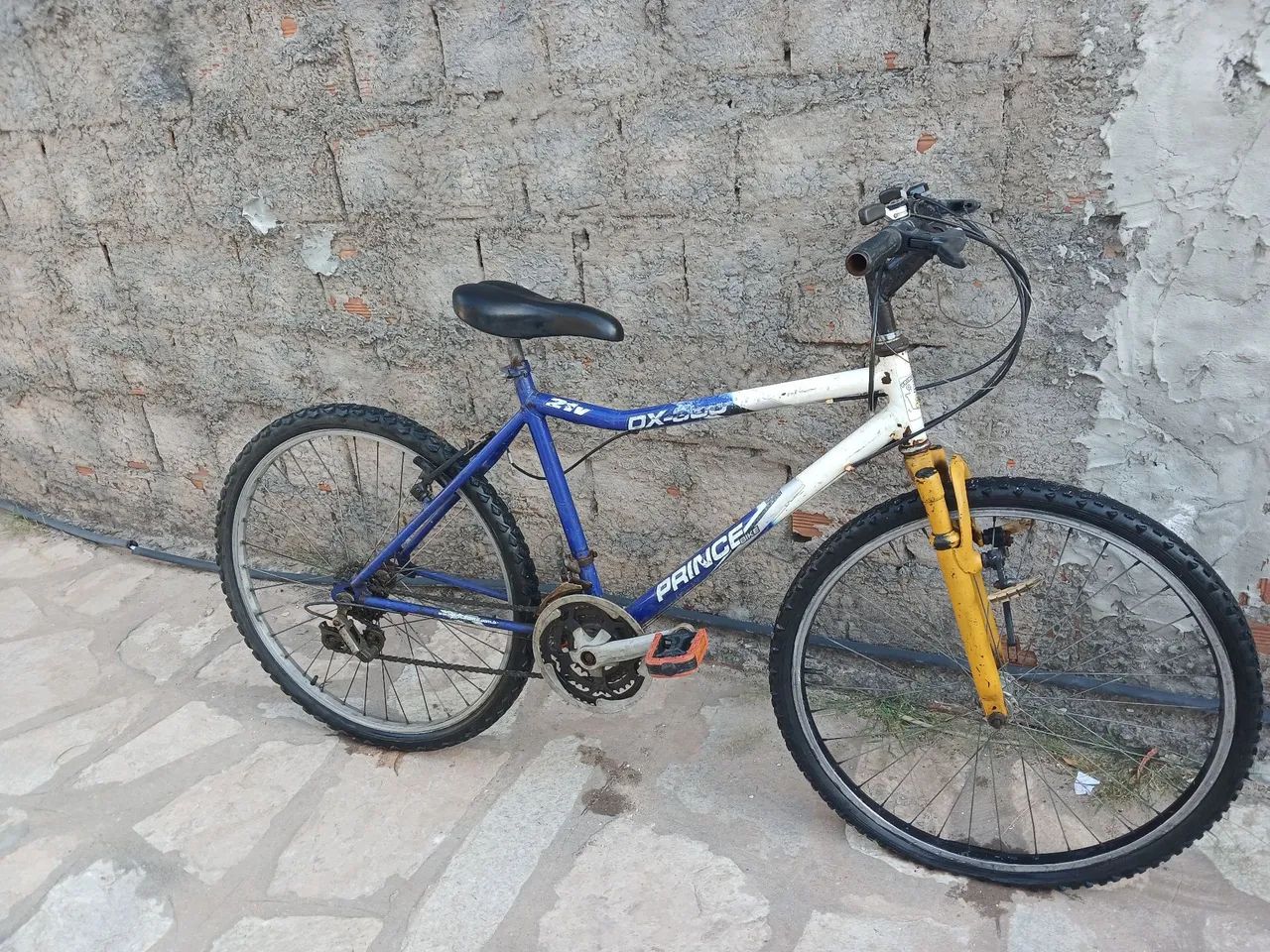 Bicicleta 