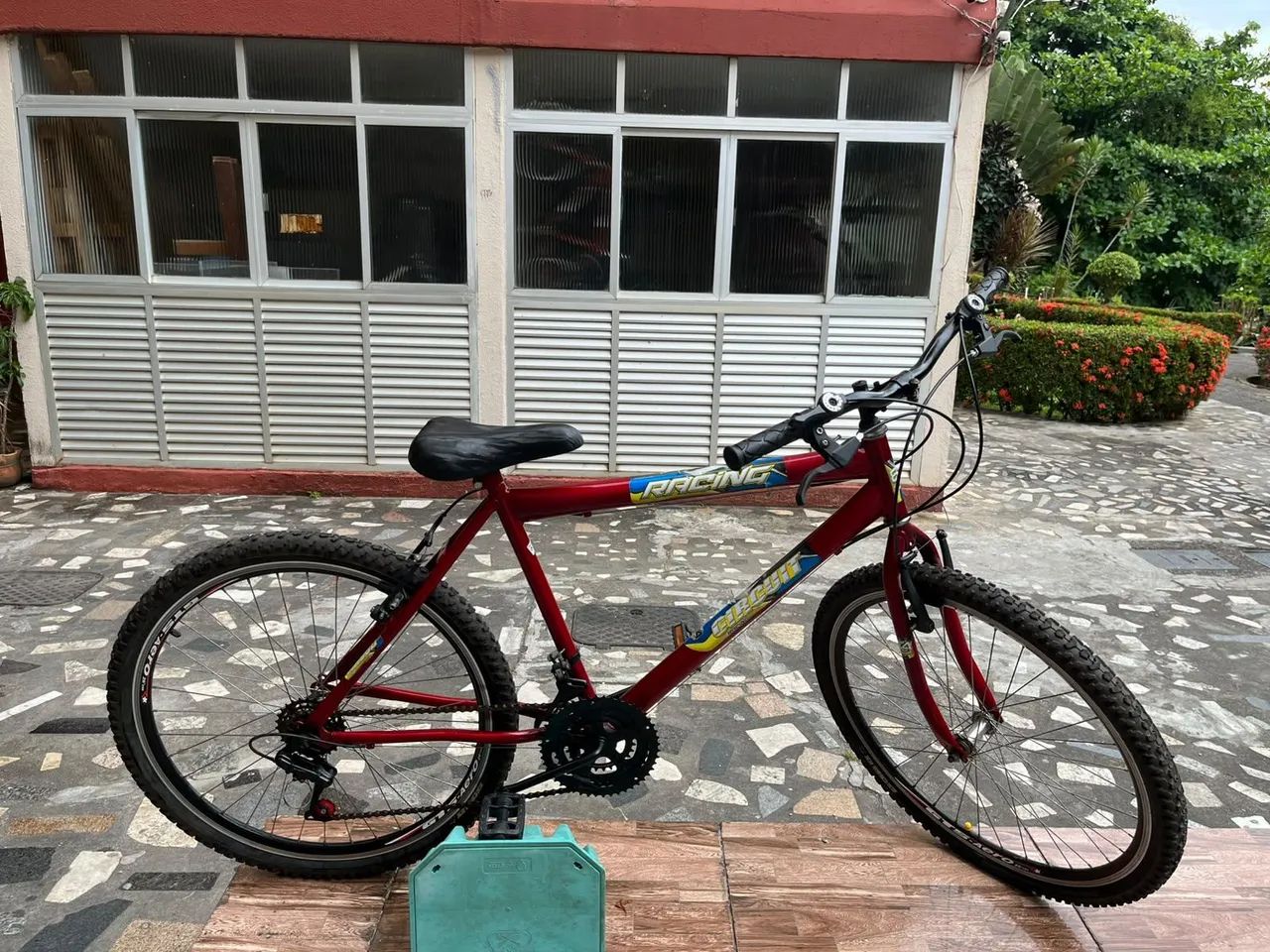 Bicicleta 