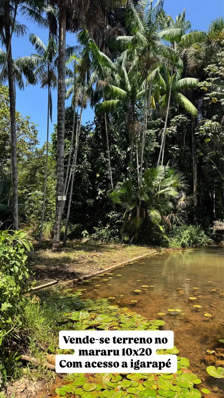 Terreno com acesso a Igarapé 