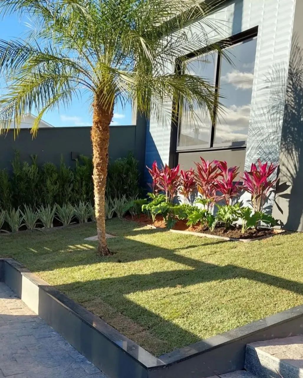 Jardineiro  - Foto 5