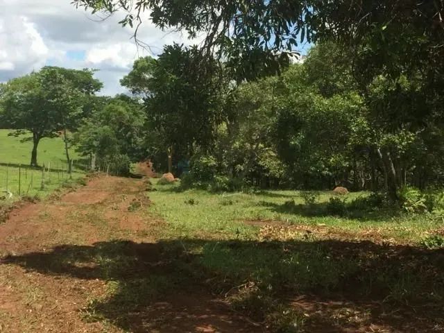 Vende-se área em chapada dos guimarães , 19 ha - Foto 4