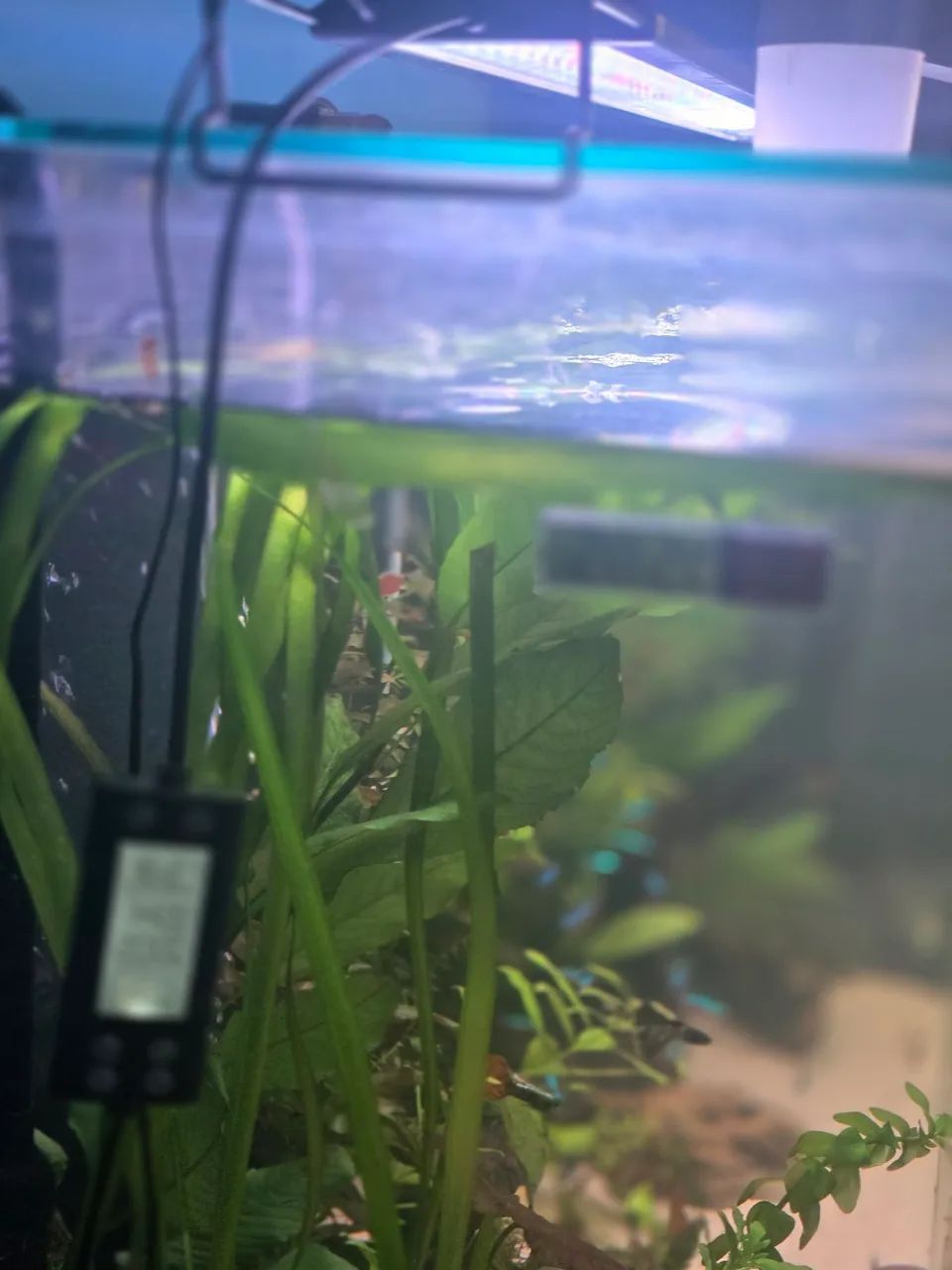Aquario completo 200 ltrs  - Foto 4