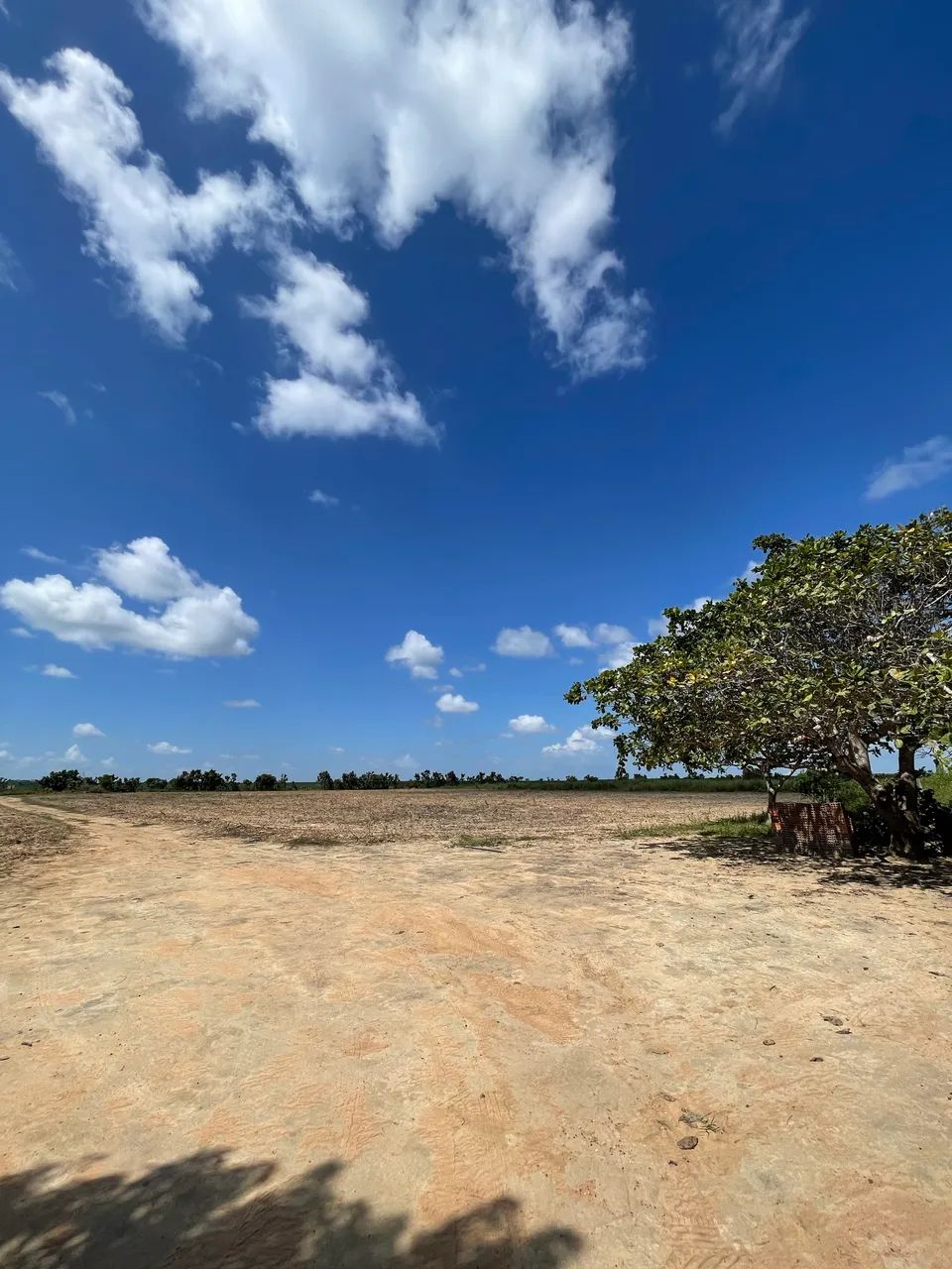 Oportunidade única Sítio com 40 Hectares de terra.  - Foto 3