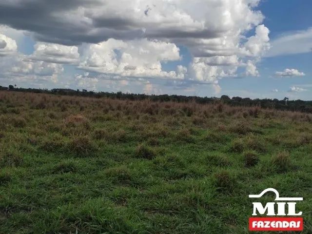 Arrendamento Agrícola em Nova Crixas-GO (726 Há)