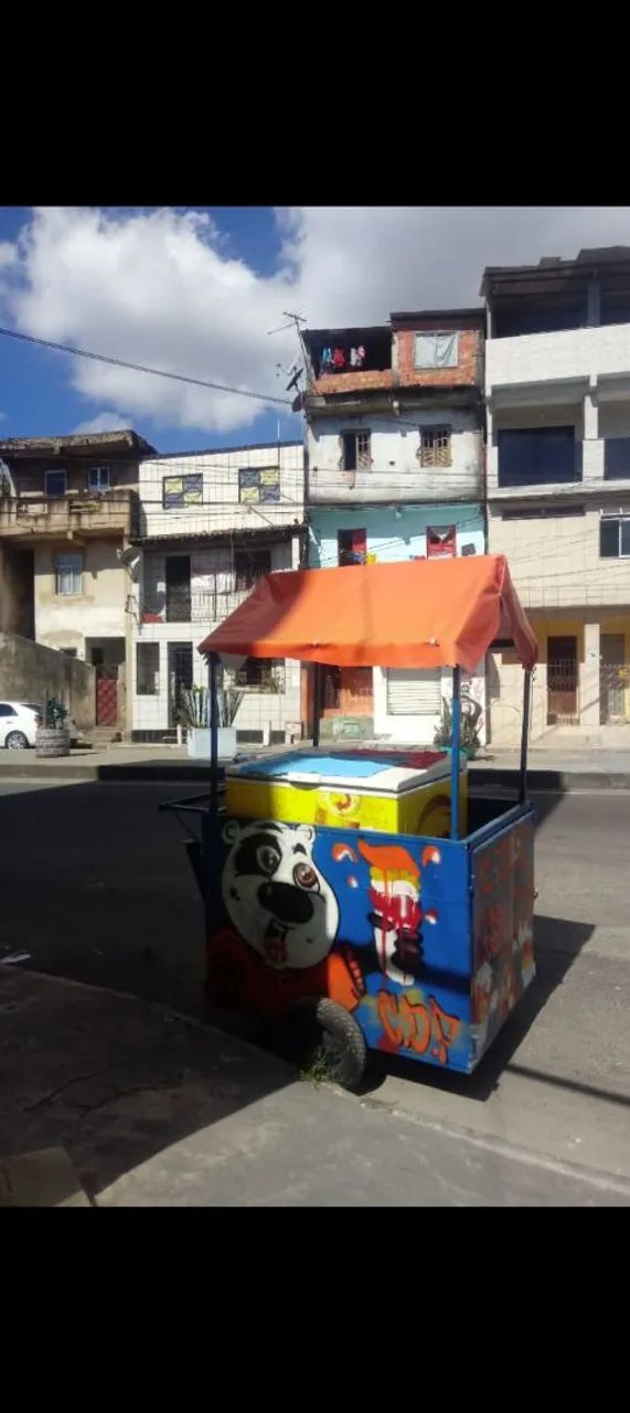 Uma burrinha  - Foto 2