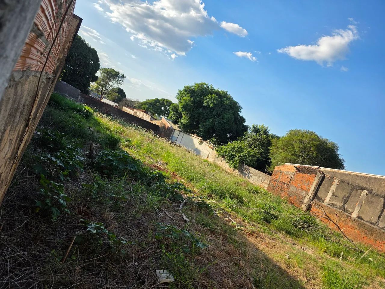 Terreno 2 mil mts² - Foto 3