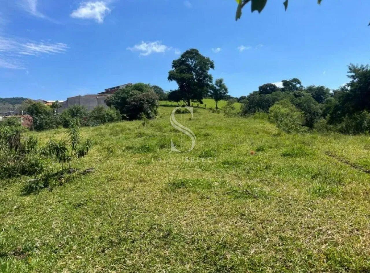 Terreno em Parque Edu Chaves - São Paulo - Foto 3