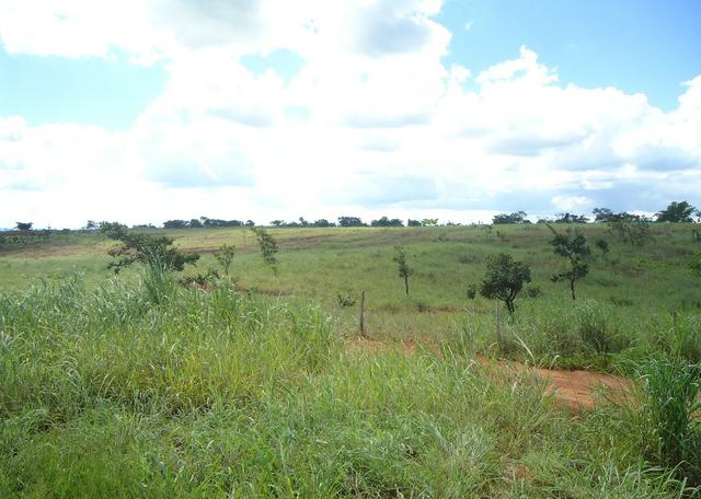 Área - Rodovia BR 060 Imobiliária Azevedo Gomes