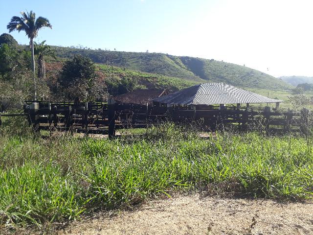 Fazenda com 174 hectares barra de são francisco