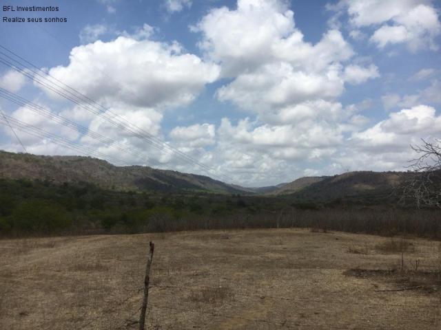 Fazenda em gravata 502 hectares, terreno amplo sen um vale com passagem de rio 8km da br23 - Foto 6