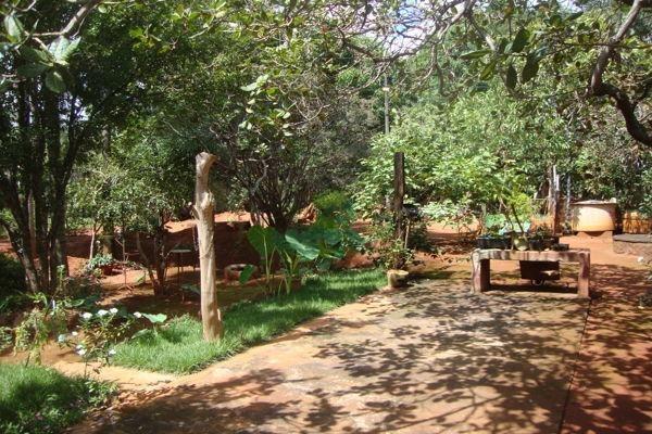 Chácara com 3 dormitórios à venda, 6000 m² - Quinta dos Sonhos - Abadia de Goiás - Foto 17
