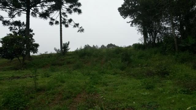 REF. 1230 - Linda Chácara com 21 mts Frente rodovia do xisto 4.865 M² - Serrinha - Foto 2