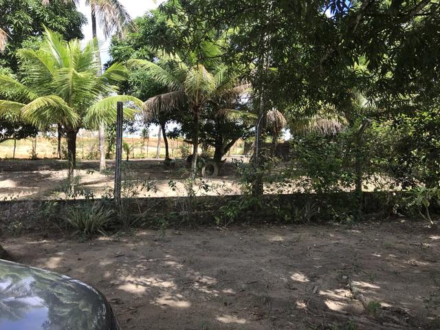 Granja, sítio, fazenda em Igarassu, 4 hectares com bastante benfeitorias! - Foto 16