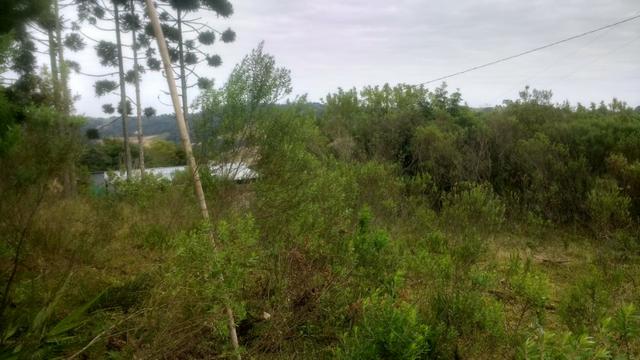 Ref. 1116 - Imperdível chácara de 22.385 m² no Poço Grande - Foto 3