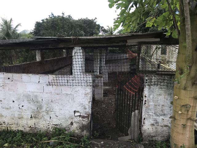 Granja, sítio, fazenda em Igarassu, 4 hectares com bastante benfeitorias! - Foto 9